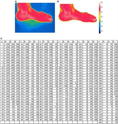 Theory and applications of InfraRed and thermal image analysis in ergonomics research